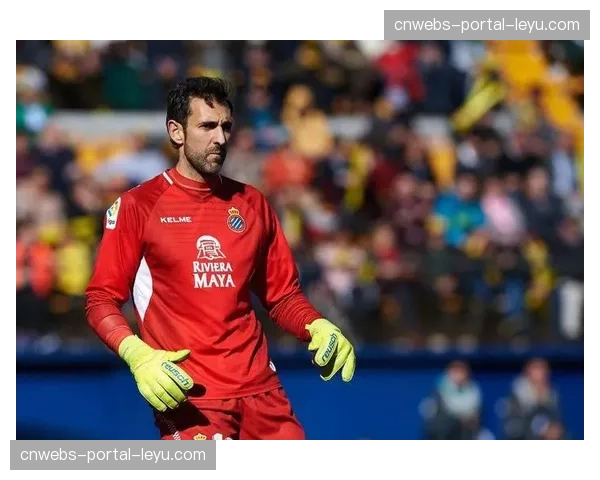 消息：西班牙国手菲格拉膝盖韧带撕裂，确认缺席今夏所有国家队赛事